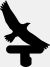 Flying Eagle Wall Hook
